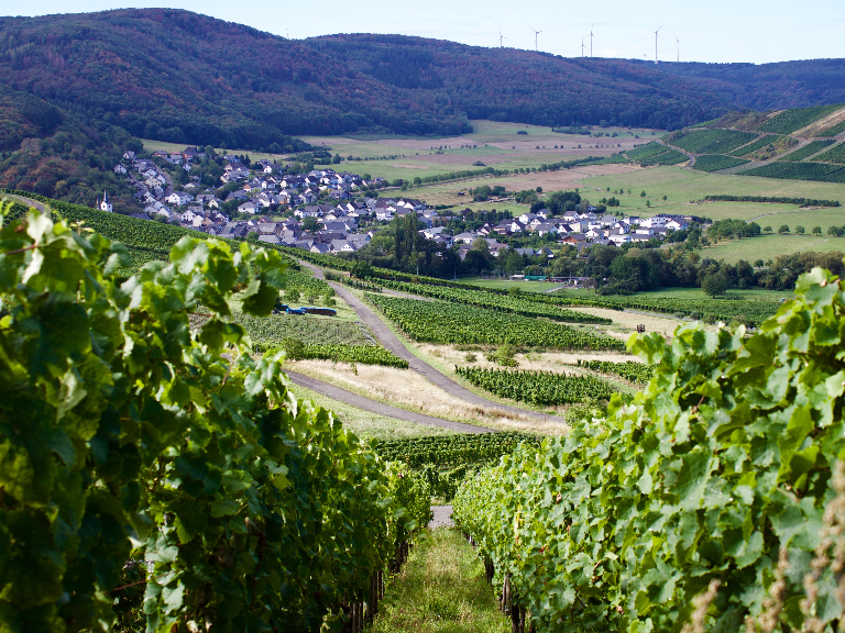 WeinhotelVeldenz-Presentatie-02-020